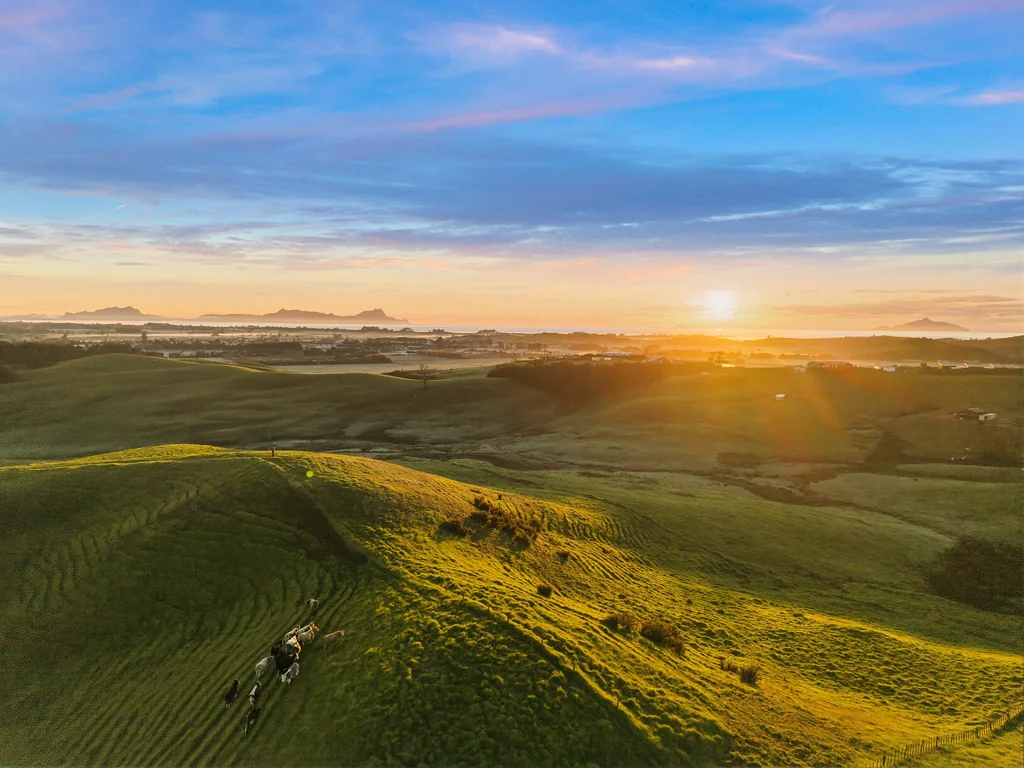Waipu  Land-bank with big views above Waipu!