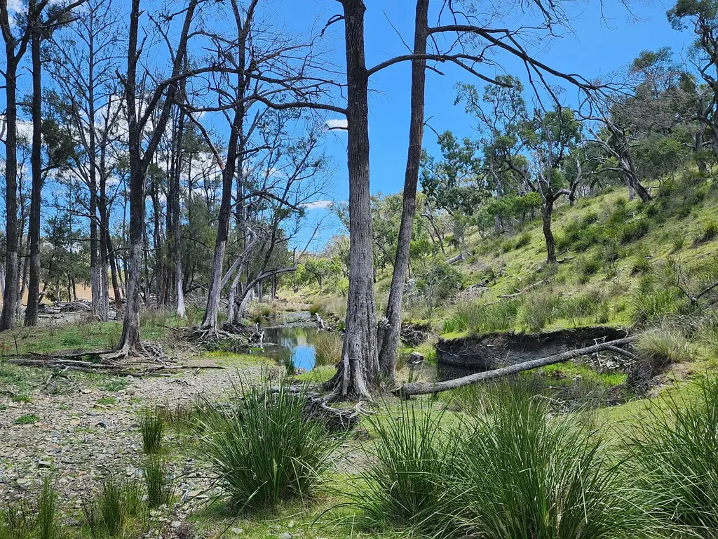Stanthorpe  197 ACRES WITH DOUBLE CREEK FRONTAGE