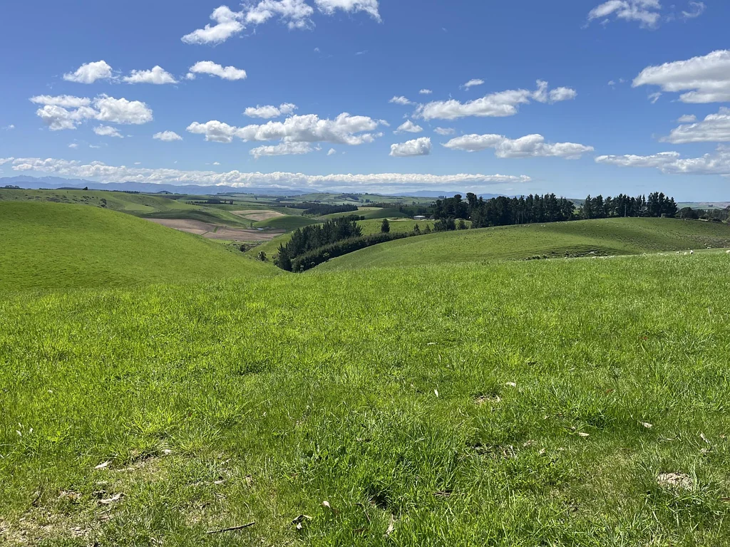 Five Forks and Surrounds Peace & Quiet - Two x 4ha Lifestyle Blocks