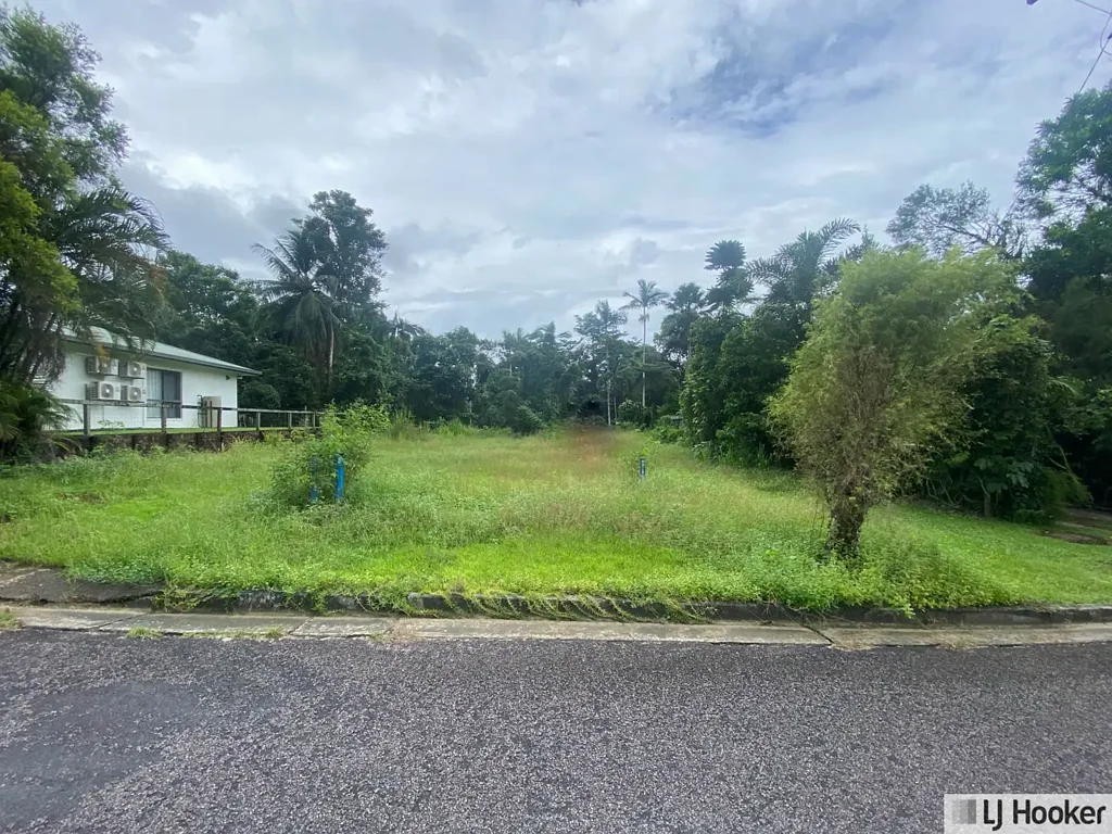 10 Parmeter Street, Tully, QLD 4854