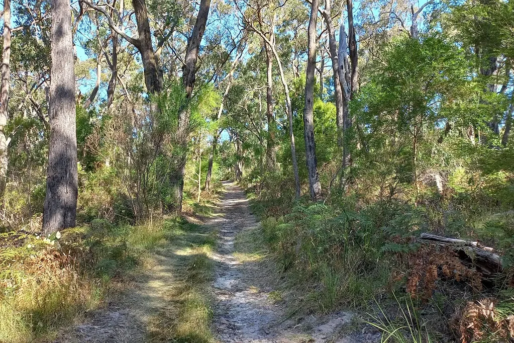 Hazelwood South CAMP AMONG THE GUMTREES!