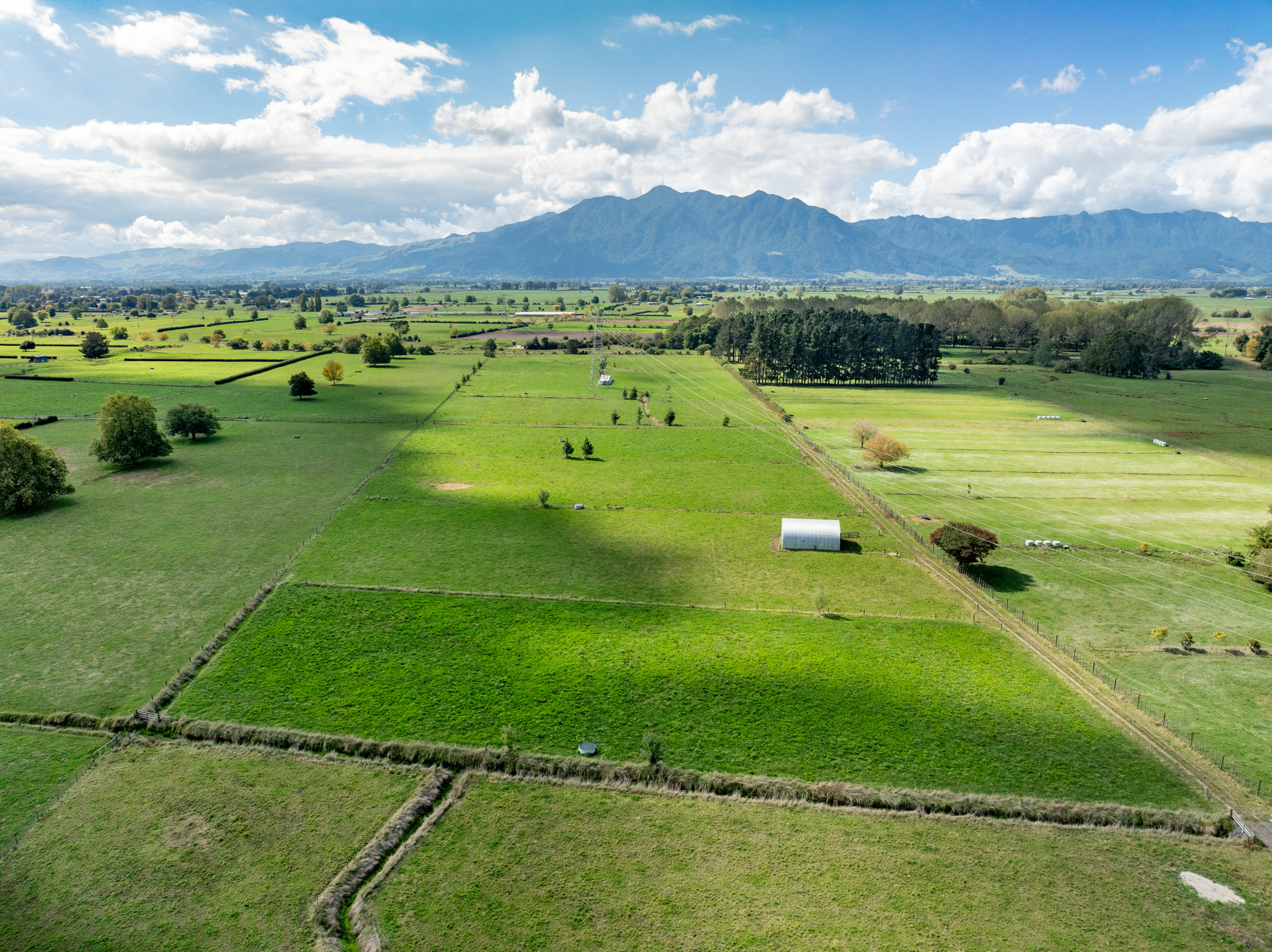 137 Seddon Road, Waitoa, Matamata, 2 habitaciones, 1 baños, Grazing