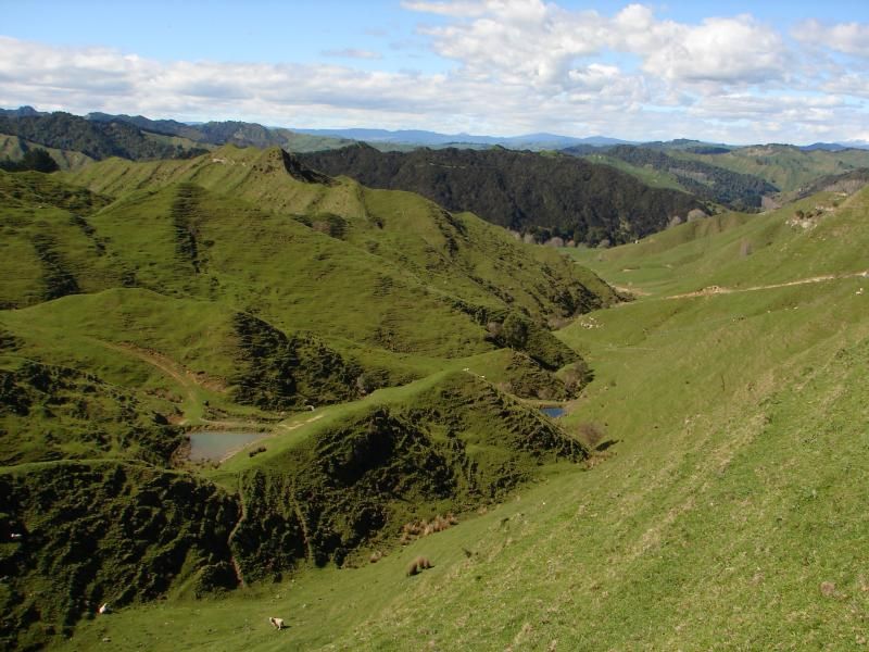 Saddler Road, Taumarunui, Ruapehu, 0 chambres, 1 salles de bain