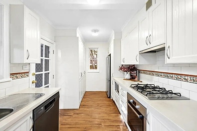 29 Palace Street, Ashfield, NSW 2131, 4房, 1浴, House