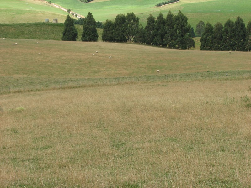 Finlays Road, Five Forks and Surrounds, Waitaki, 0 ਕਮਰੇ, 1 ਬਾਥਰੂਮ