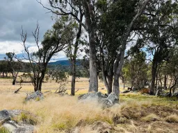 89 GEYERS RD, Tenterfield