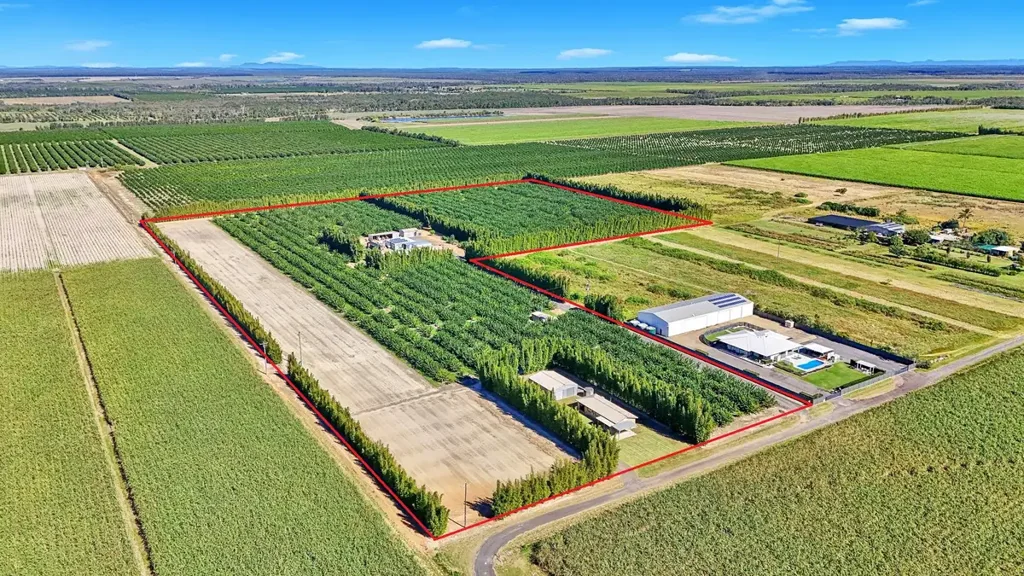 Alloway  Exceptional Custard Apple Orchard with Dual Residences – Bundaberg, QLD