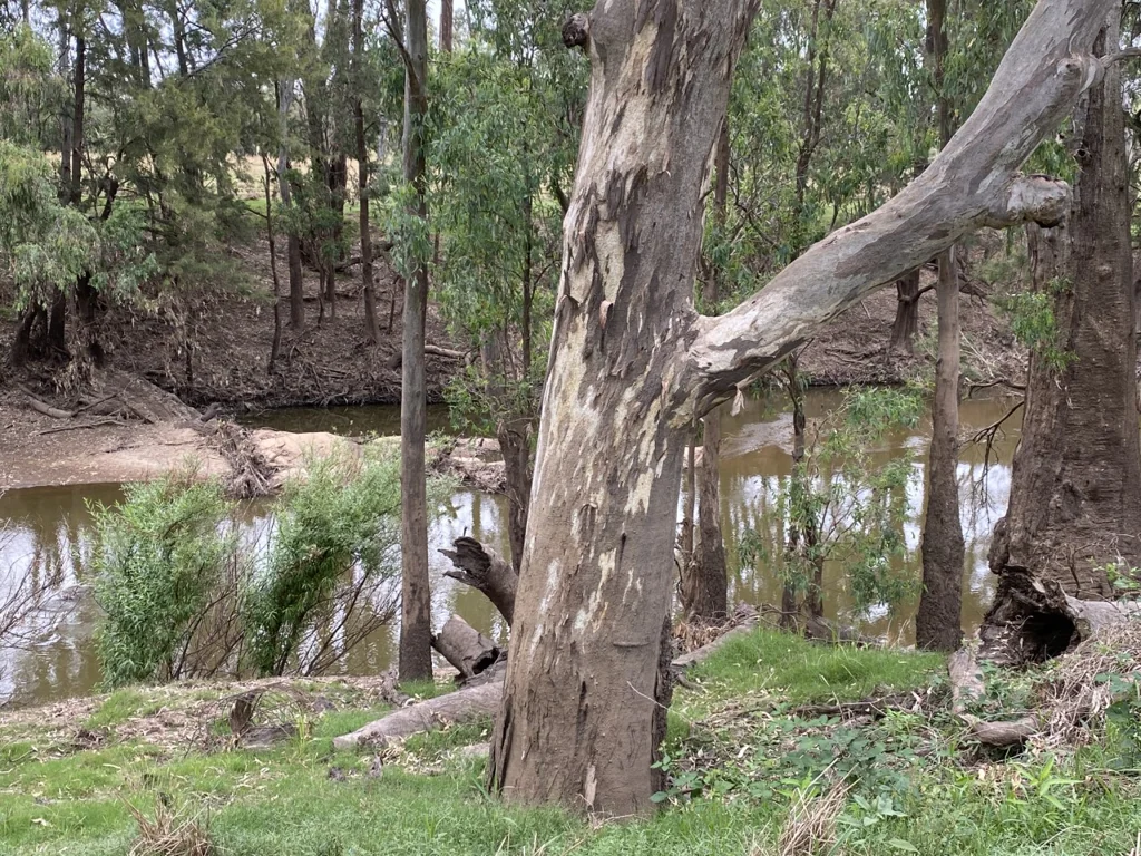 Canowindra River Frontage with an Idyllic setting to build your dream Home