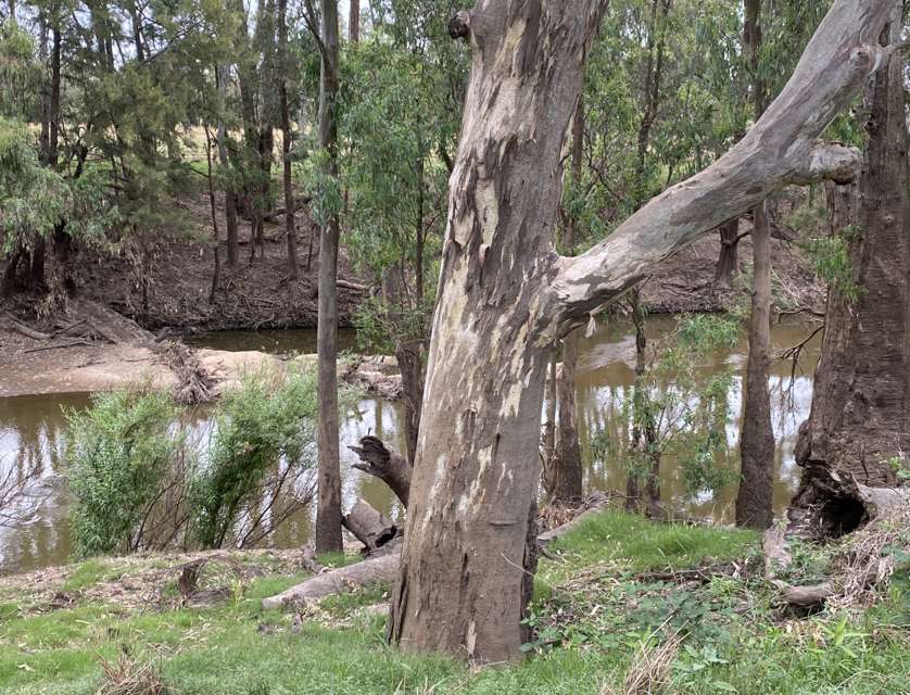171E Cultowa Lane, Canowindra, Central Tablelands, 1 Schlafzimmer, 1 Badezimmer, Lifestyle Property