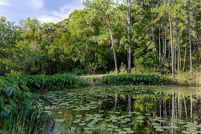 地址保密, Eumundi, QLD 4562, 1房, 1浴, Lifestyle Section