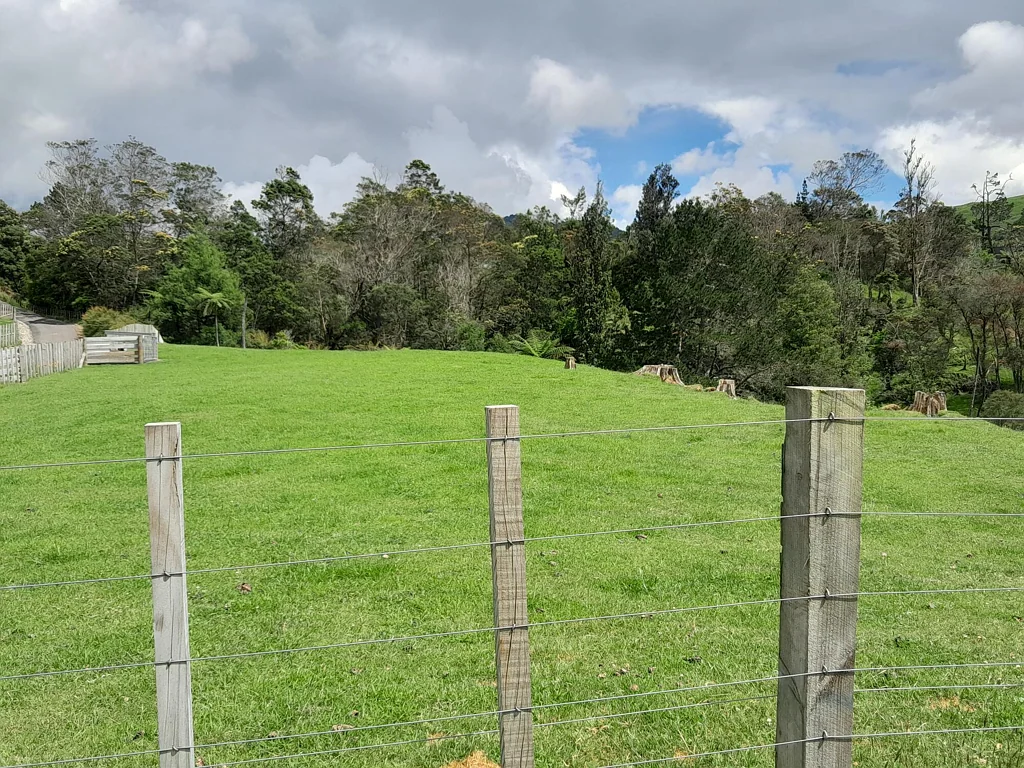 Waihi Ready to Go, Build Modest or Mansion!