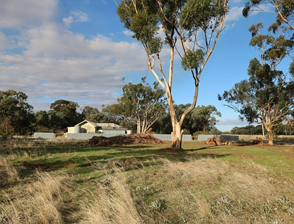  Crn Echuca-Serpentine & Prairie Road, Calivil, Bendigo, 0 ਕਮਰੇ, 0 ਬਾਥਰੂਮ, Lifestyle Property