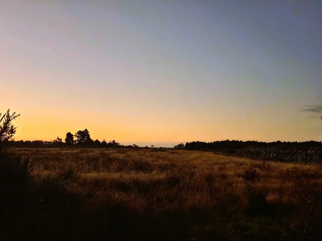 Waimangaroa Bare land, endless potential