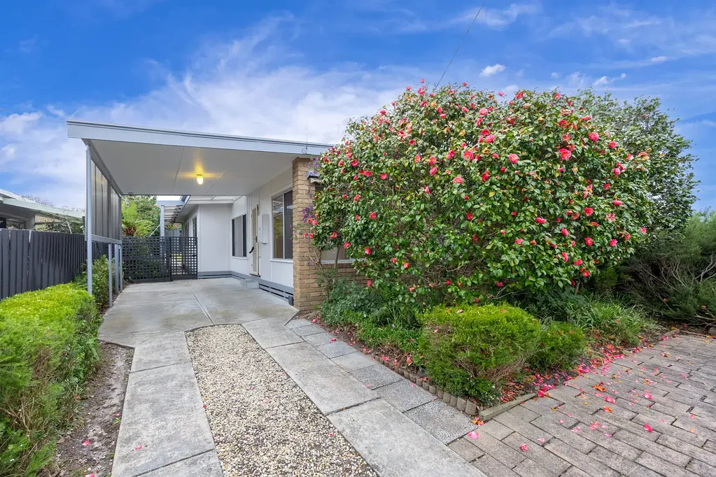 Rosebud 3Moenga Beachside Living
