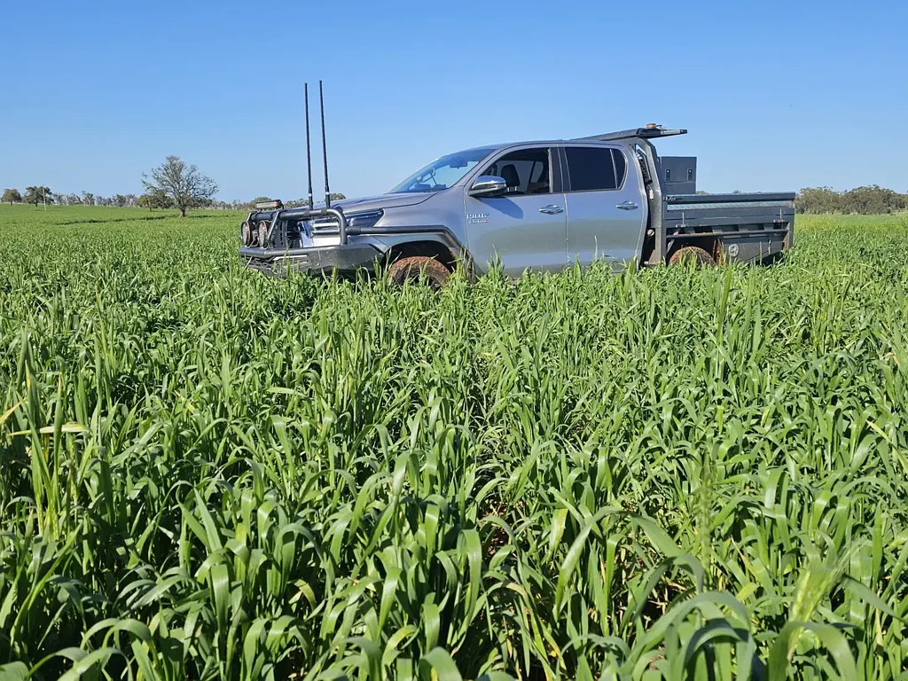 Condobolin Superior Farming Country at Grazing Prices