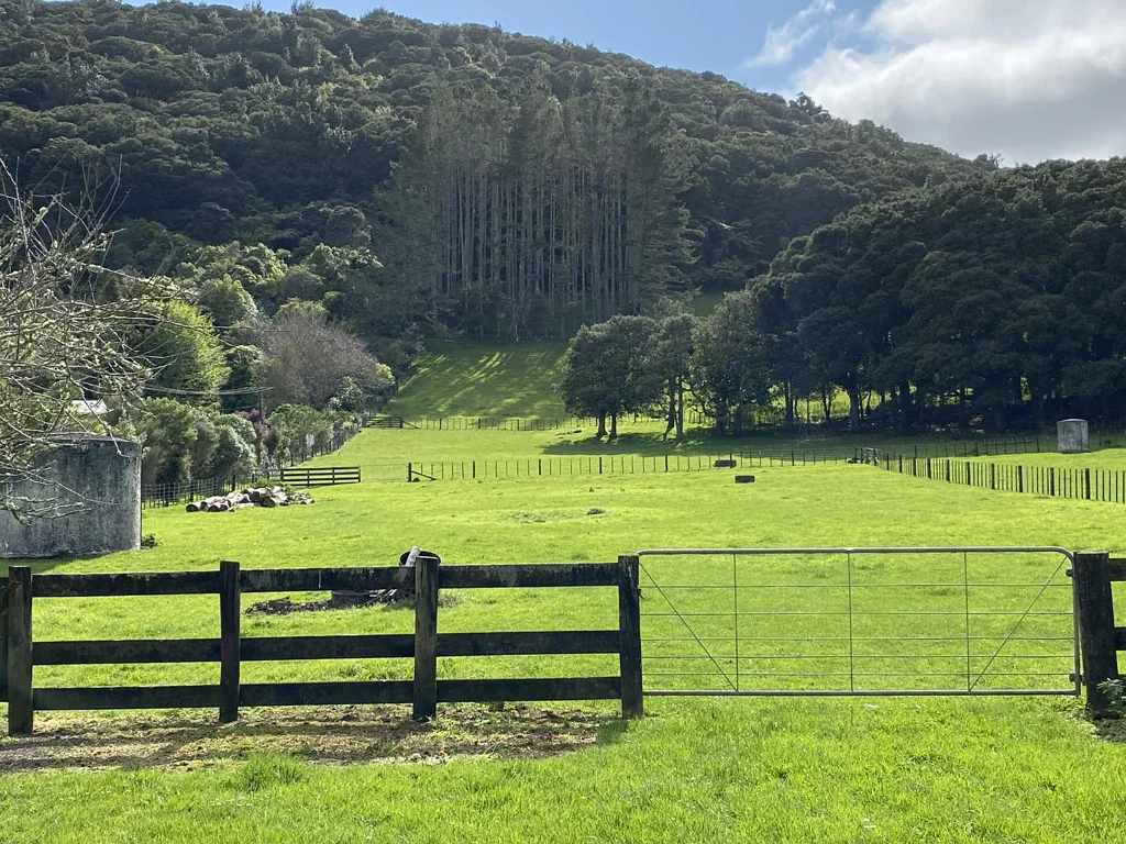 Spacious home with 10 acres