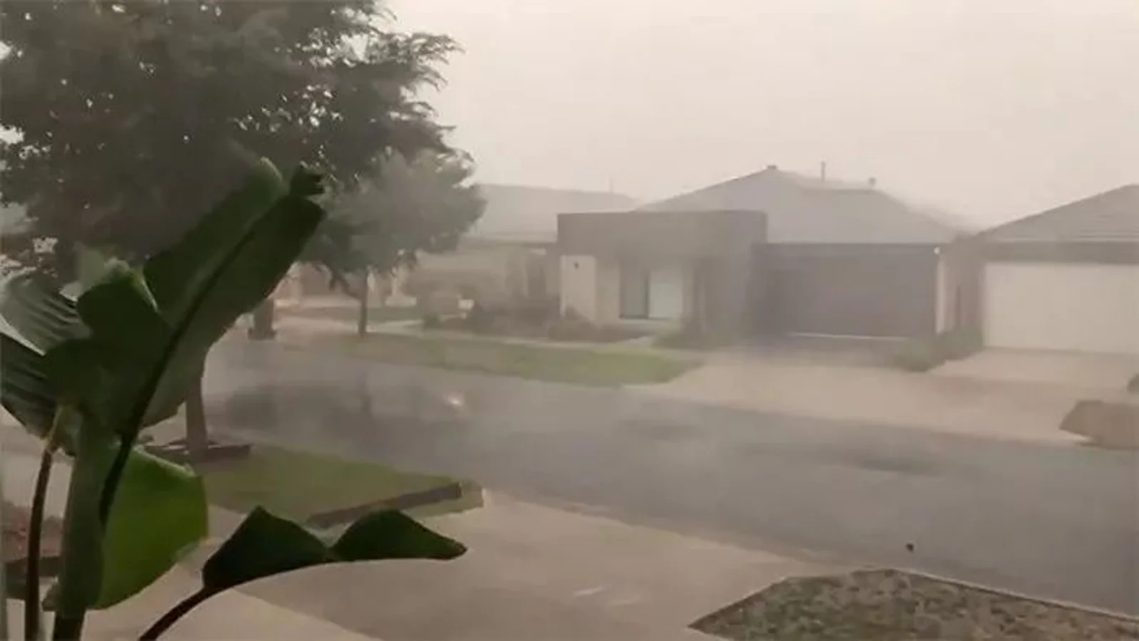 澳洲终于下雨了，但更遭殃了......