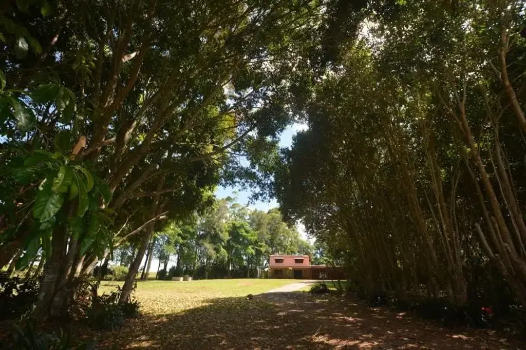 Lake Eacham 3房  Idyllic Tablelands Lifestyle Property