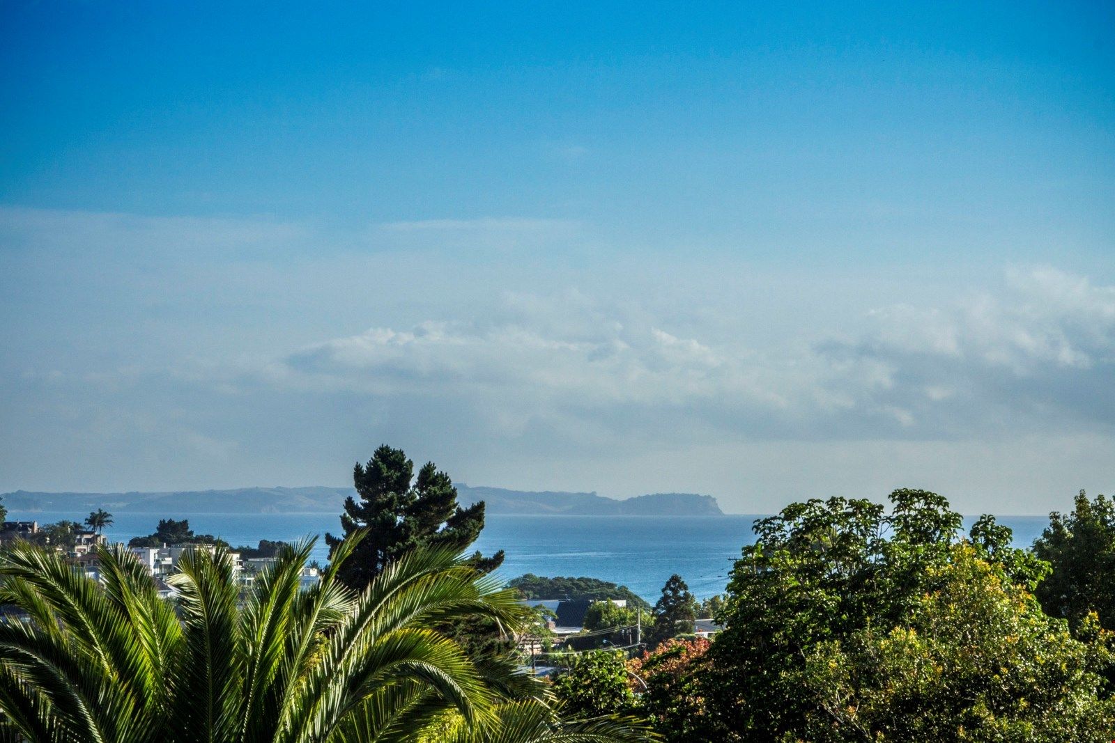 60a Matipo Road, Mairangi Bay, Auckland - North Shore, 7 Schlafzimmer, 0 Badezimmer