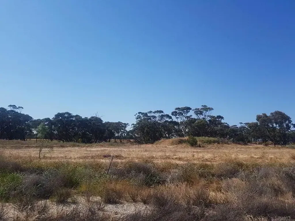 LOT 165/165 (L) WOOLAWA Street, Moora, WA 6510