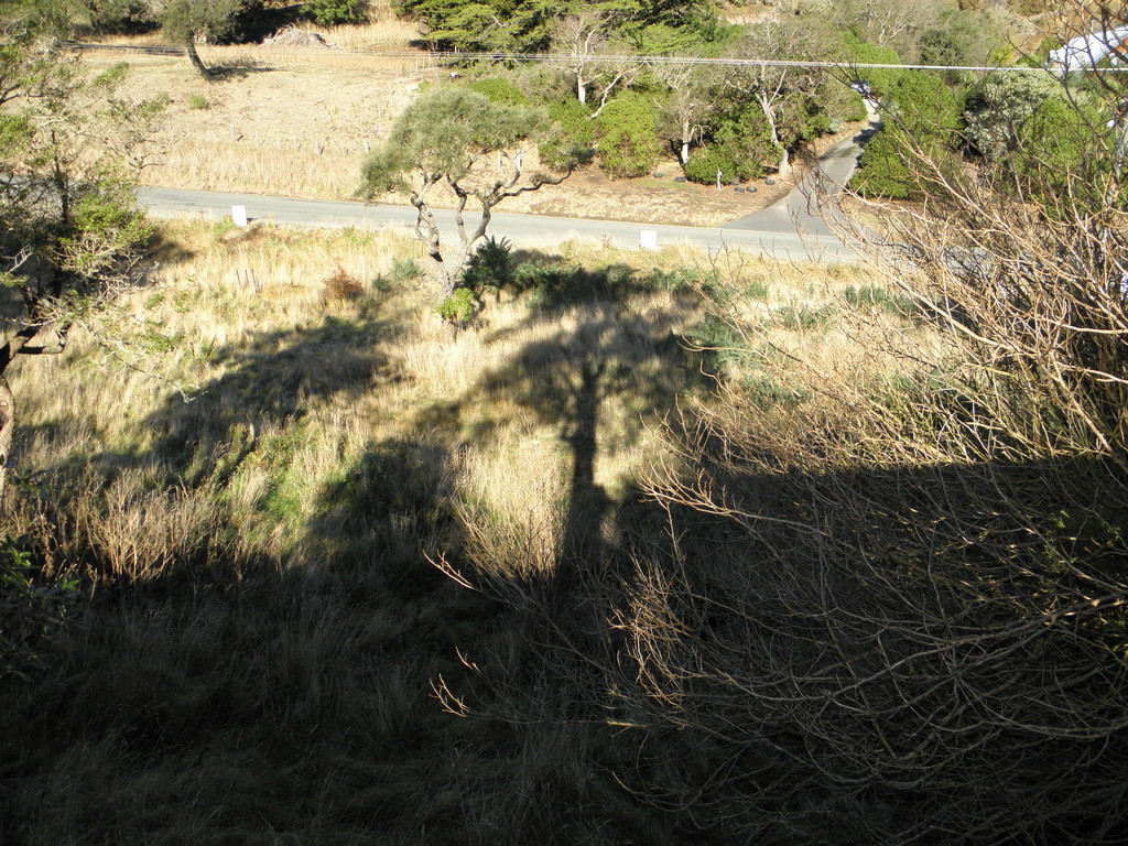 19 Tenby Street, Moeraki, Waitaki, 0房, 0浴