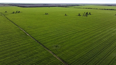  Terlings, Moree, NSW 2400, 0房, 0浴, Lifestyle Property