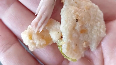 看吐了！NZ超市面包吃出老鼠腿，婴儿嘴里发现！鼠身去哪儿了？