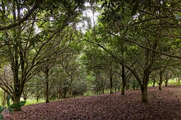 地址保密, Beenaam Valley