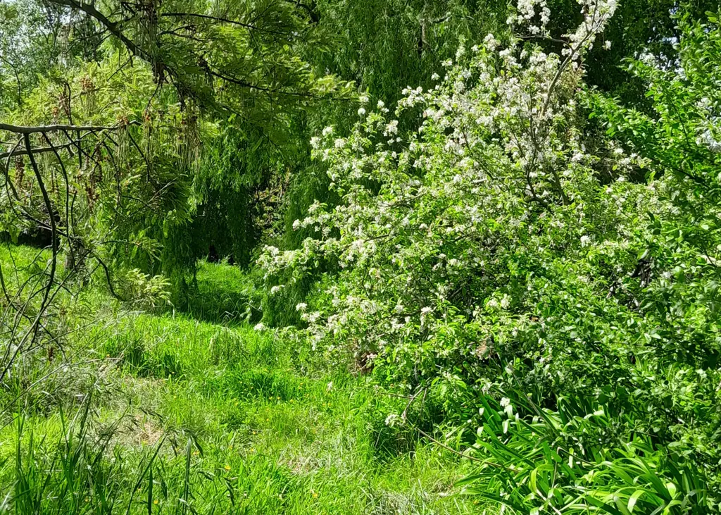 319a Makirikiri Road, Marton, Rangitikei, Manawatu / Whanganui
