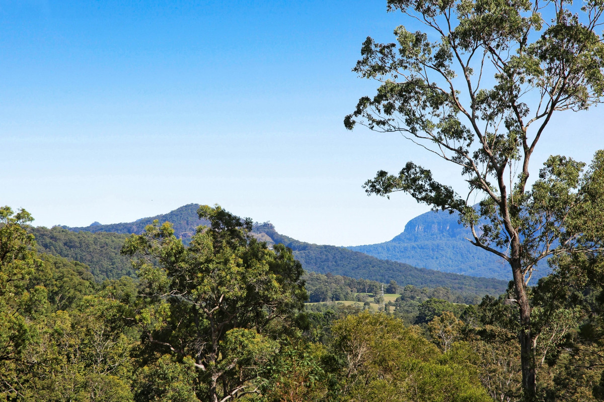 43 GOOLABAH DR, TALLEBUDGERA QLD 4228, 0 ਕਮਰੇ, 0 ਬਾਥਰੂਮ, Lifestyle Section