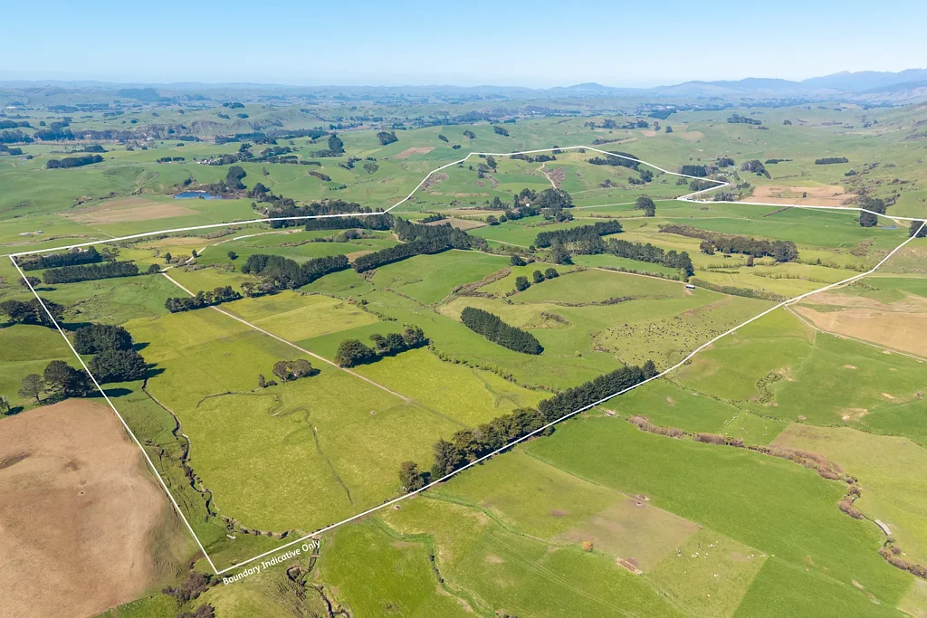 Pahiatua Ataahua - 204 ha