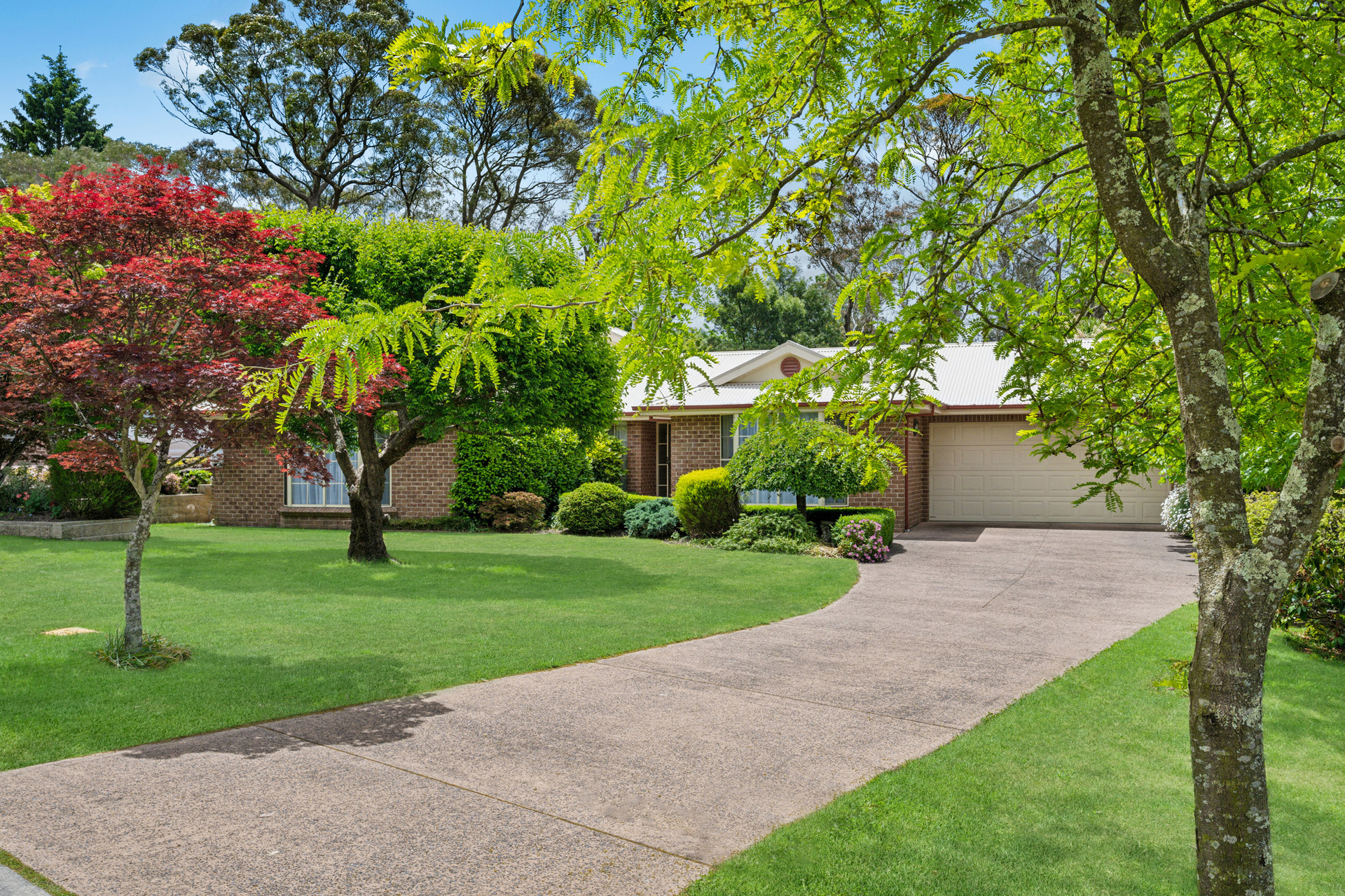 49 FOREST PARK RD, BLACKHEATH NSW 2785, 0房, 0浴, House