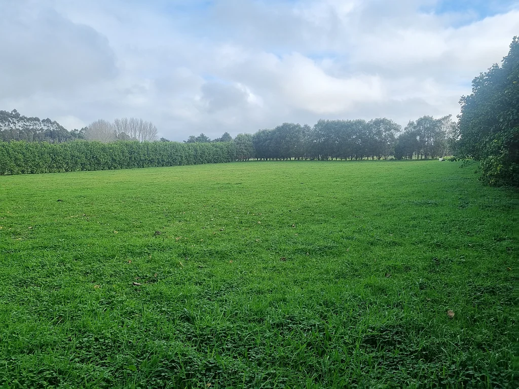 Okaihau  Okaihau is Calling! Covenant Free!