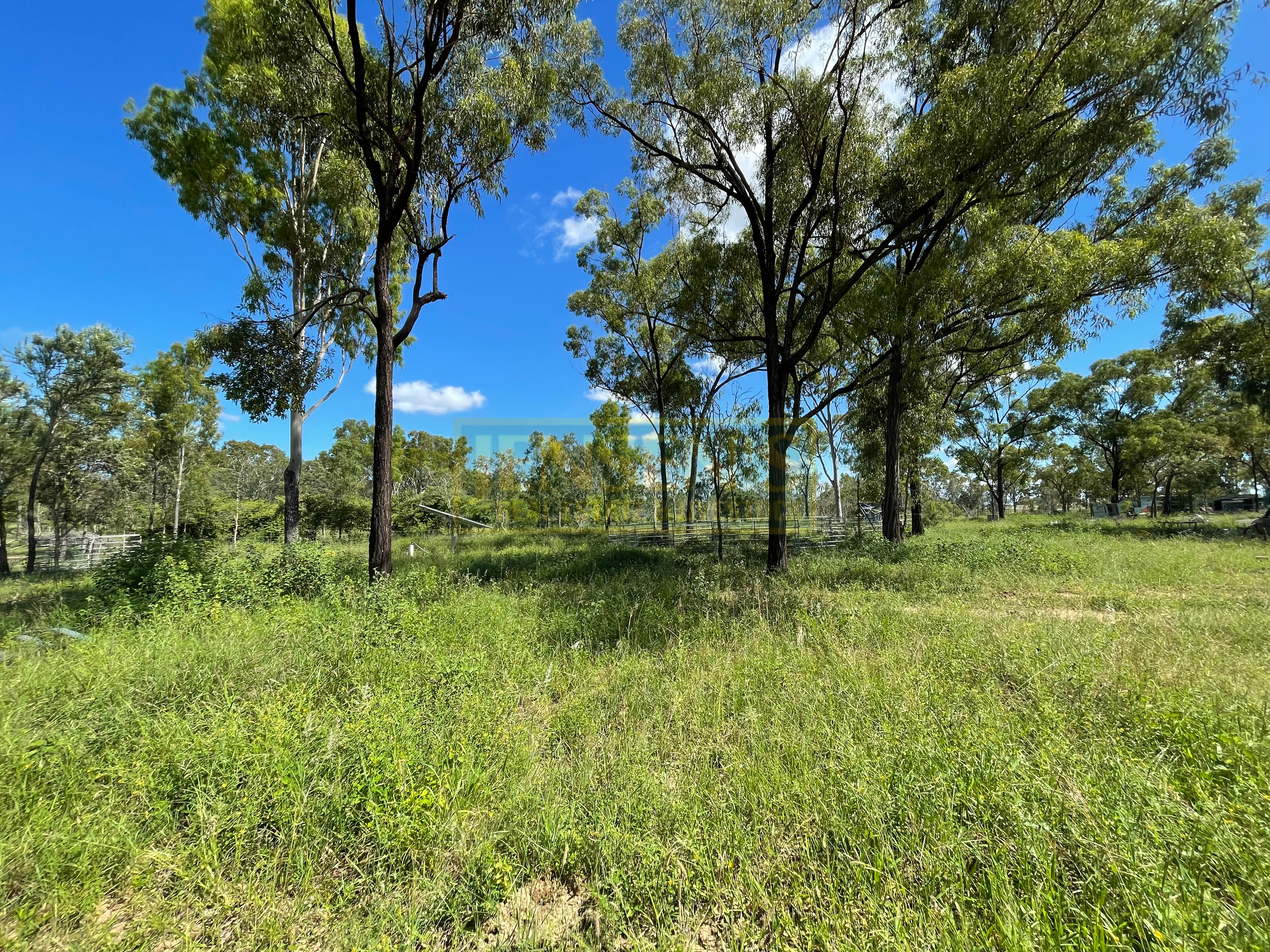 438 BLUFF RD, BROUGHTON QLD 4820, 0 phòng ngủ, 0 phòng tắm, Section