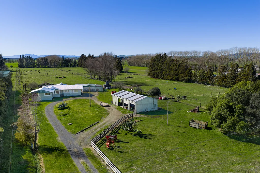 Newstead Classic Kiwi Entry-Level 10 Acre Block