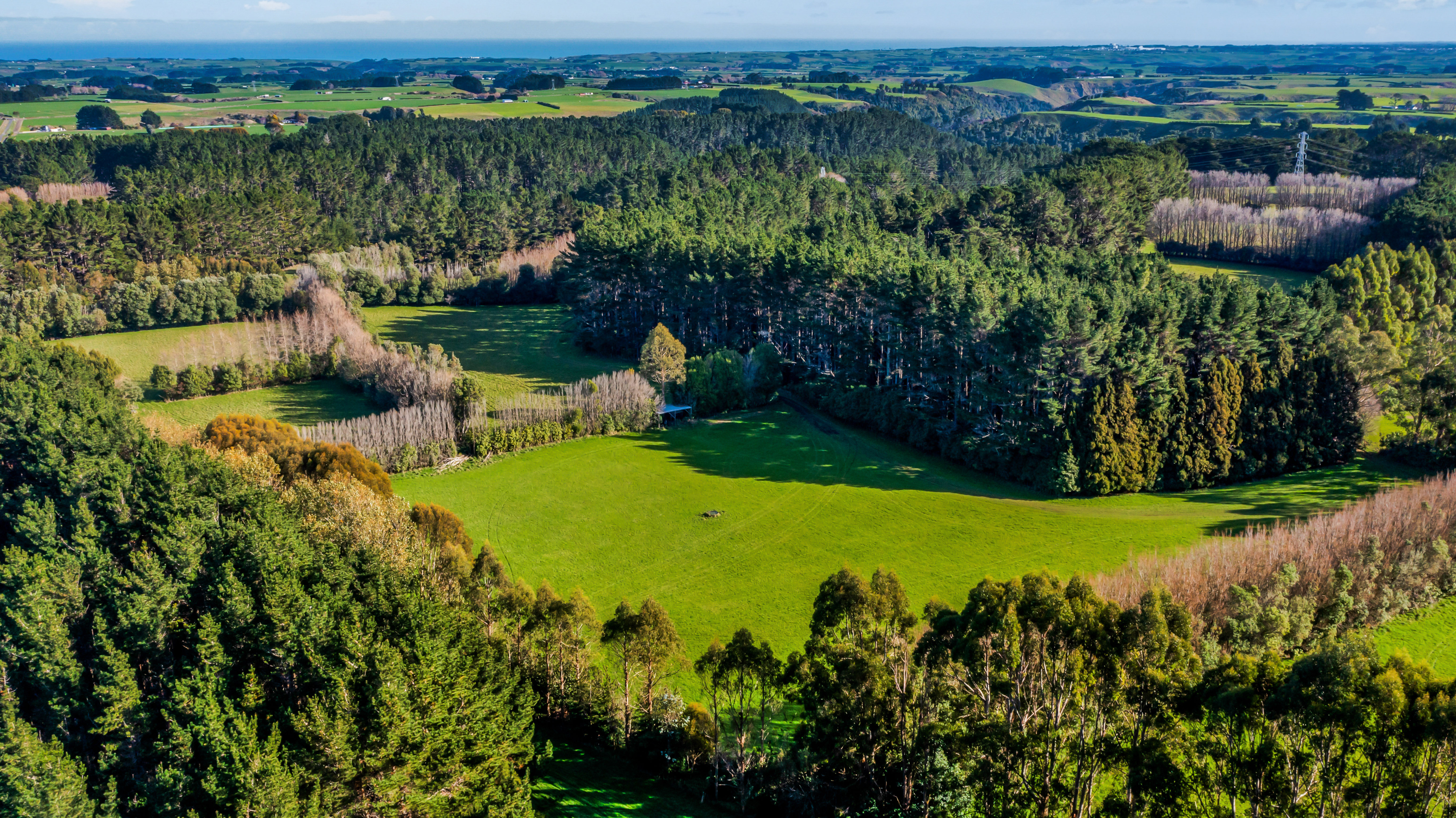 709 Ingahape Road, Ohangai, South Taranaki, 0房, 0浴, Grazing