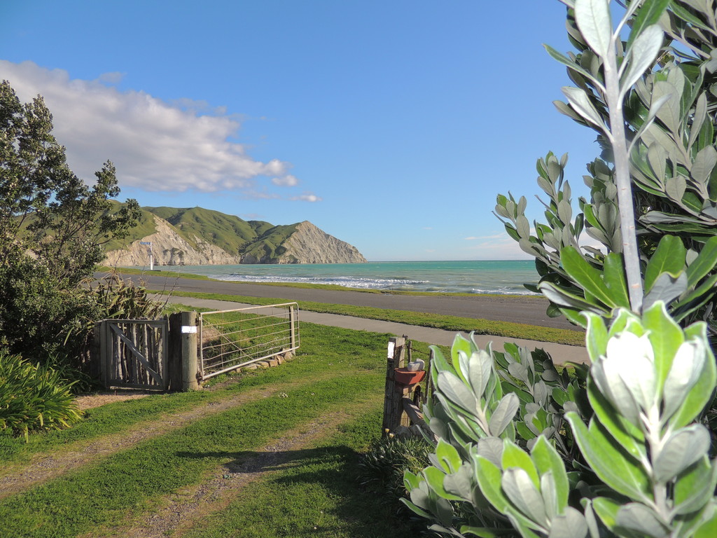 207 Newcastle Street, Mahia, Wairoa, 4 habitaciones, 0 baños