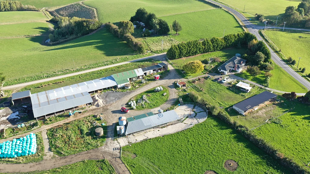 Wyndham Surrounds Multiple Dairy Farm Opportunity