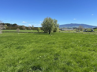 162 Bowman Road, Te Awamutu, Waipa, Waikato, 0 Bedrooms, 0 Bathrooms, Lifestyle Section