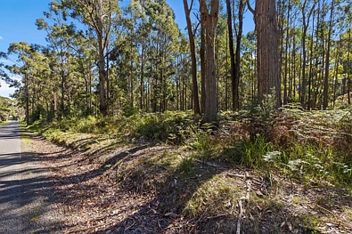  Bakers Lane, Northdown, TAS 7307, 0 slaapkamers, 0 badkamers, Section