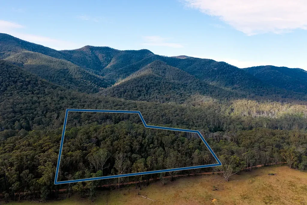 14 Yankees Gap Firetrail, Bemboka, NSW 2550