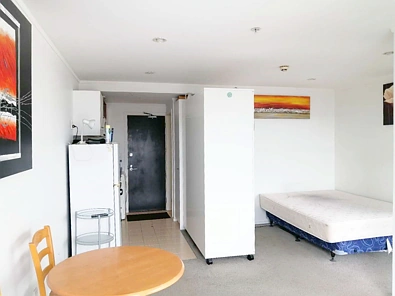 109 Vincent st, Auckland Central, Auckland City, 1 રૂમ, 1 બાથરૂમ, Apartment