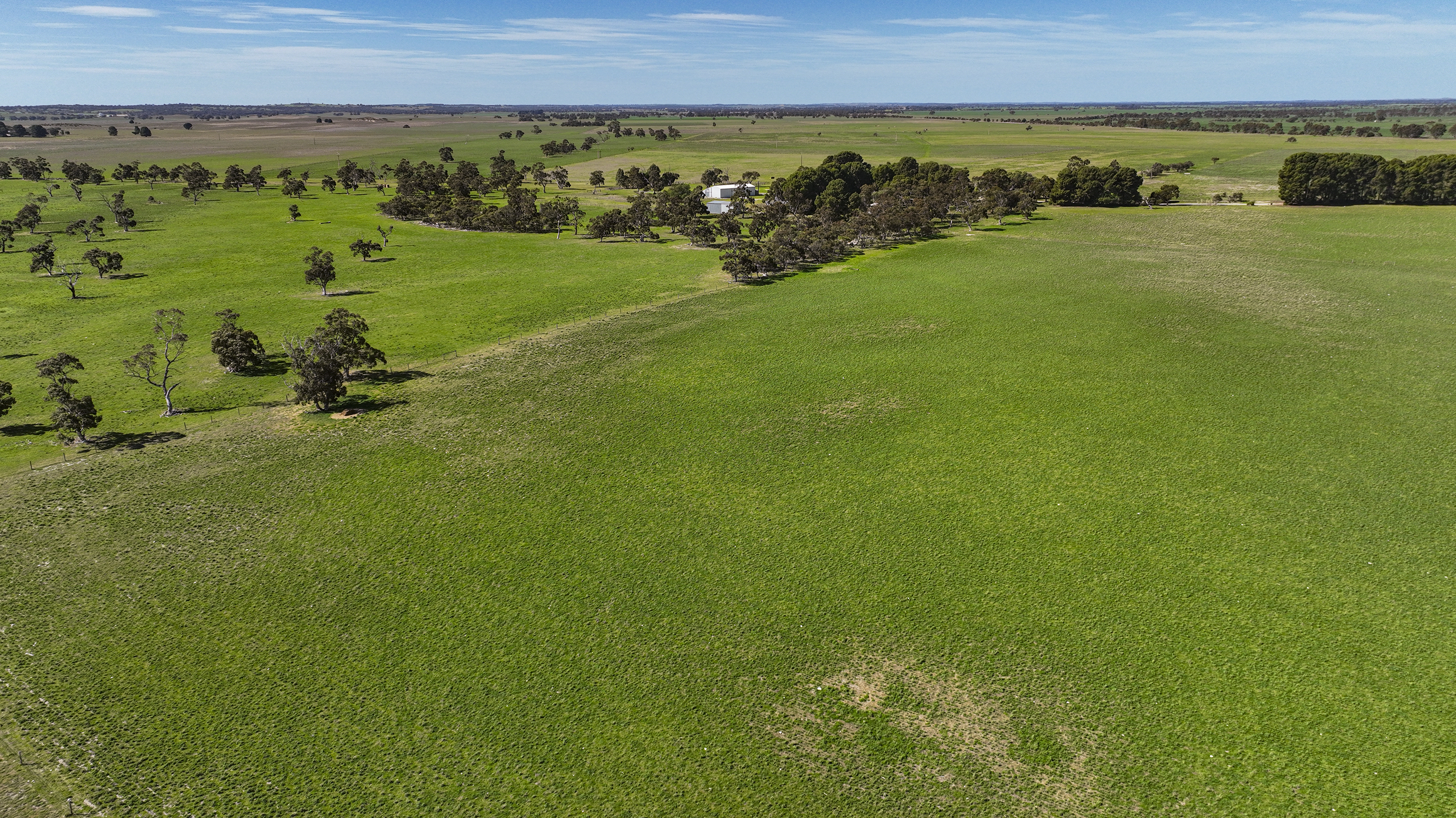 7783 DUKES HWY, CULBURRA SA 5261, 0房, 0浴, Lifestyle Property