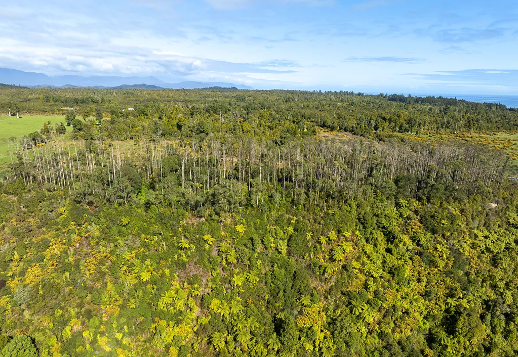Karamea Panoramic Sanctuary