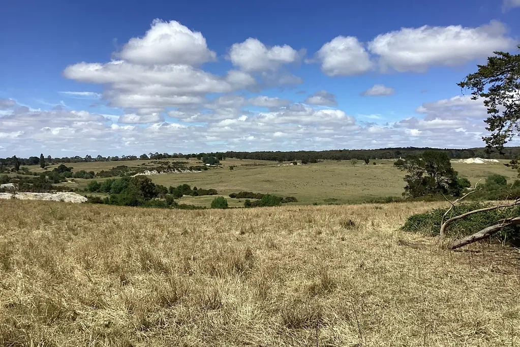Scarsdale  6.1Ha (15 acres); Elevated Homesite; Creek Frontage; RLZ; Power Nearby