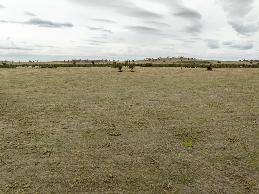Narrandera  "Part Currawong" - Genuine sale to facilitate the finalisation for family settlement
