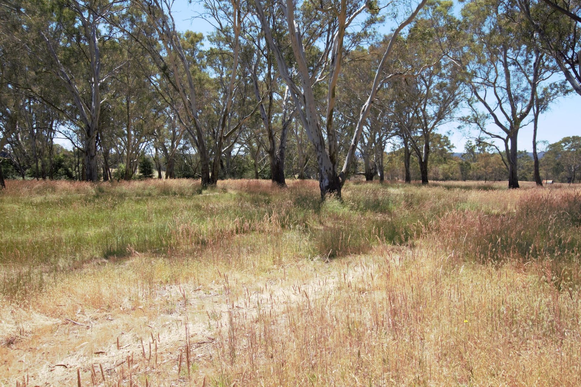 8235 MAROONDAH HWY, MERTON VIC 3715, 0 રૂમ, 0 બાથરૂમ, Section