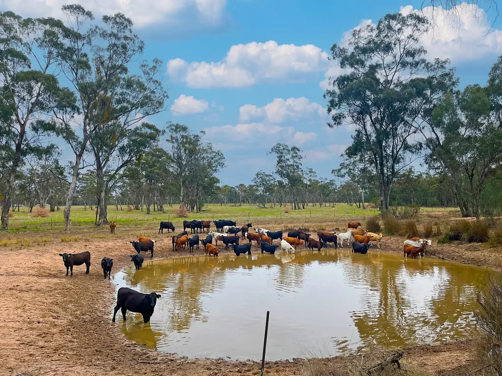 Jacks Creek  YOUR OWN RURAL PARADISE AWAITS