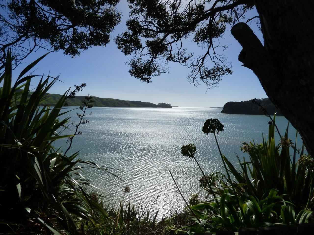 1213 Te Waitere Road, Taharoa, Waitomo, 6 habitaciones, 0 baños