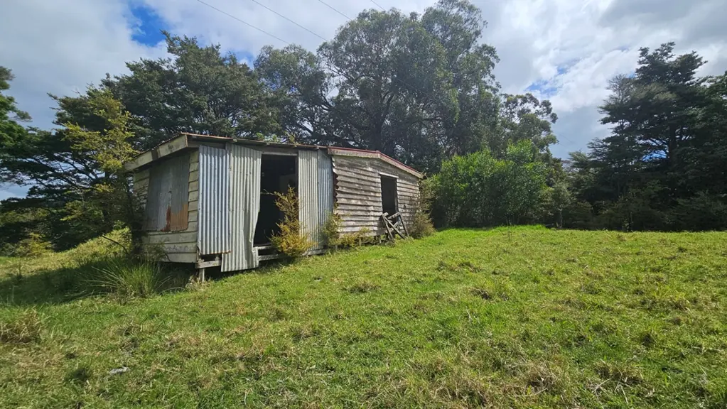 Tangiteroria COUNTRY LIFESTYLE - Priced to sell